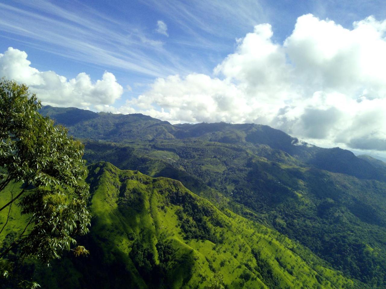 Rock Paradise Homestay เอลลา ภายนอก รูปภาพ